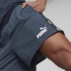 Short Puma - Image 3